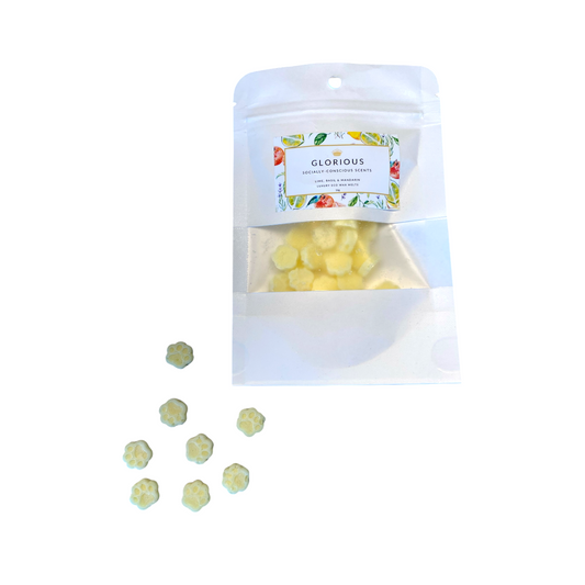 Lime, Basil and Mandarin Mini Wax Melts Pouch - Pawprints