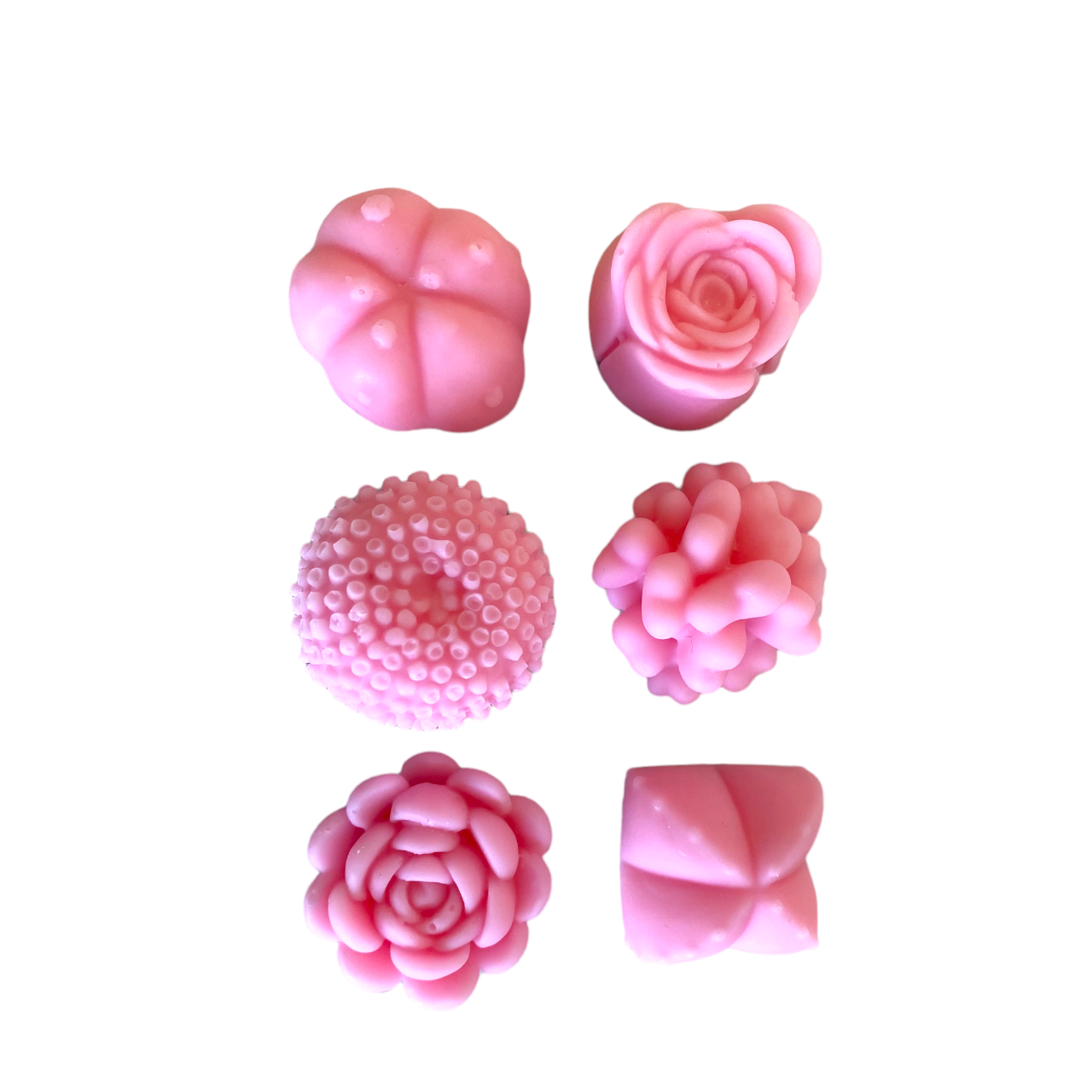 Mini Succulents Wax Melts - Various Fragrances