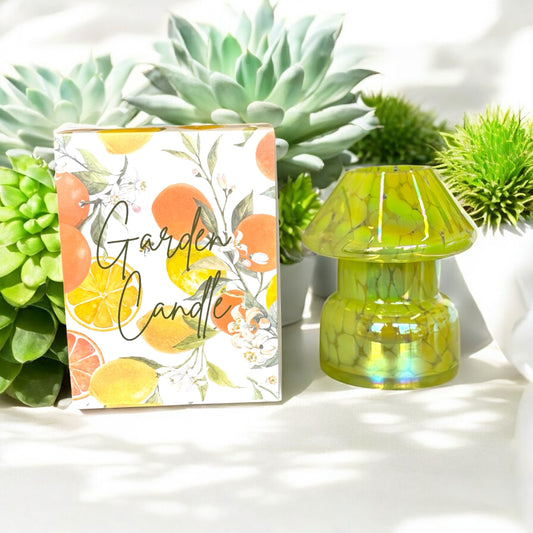 2 Piece Glass Garden Candle Holder Lime Splash
